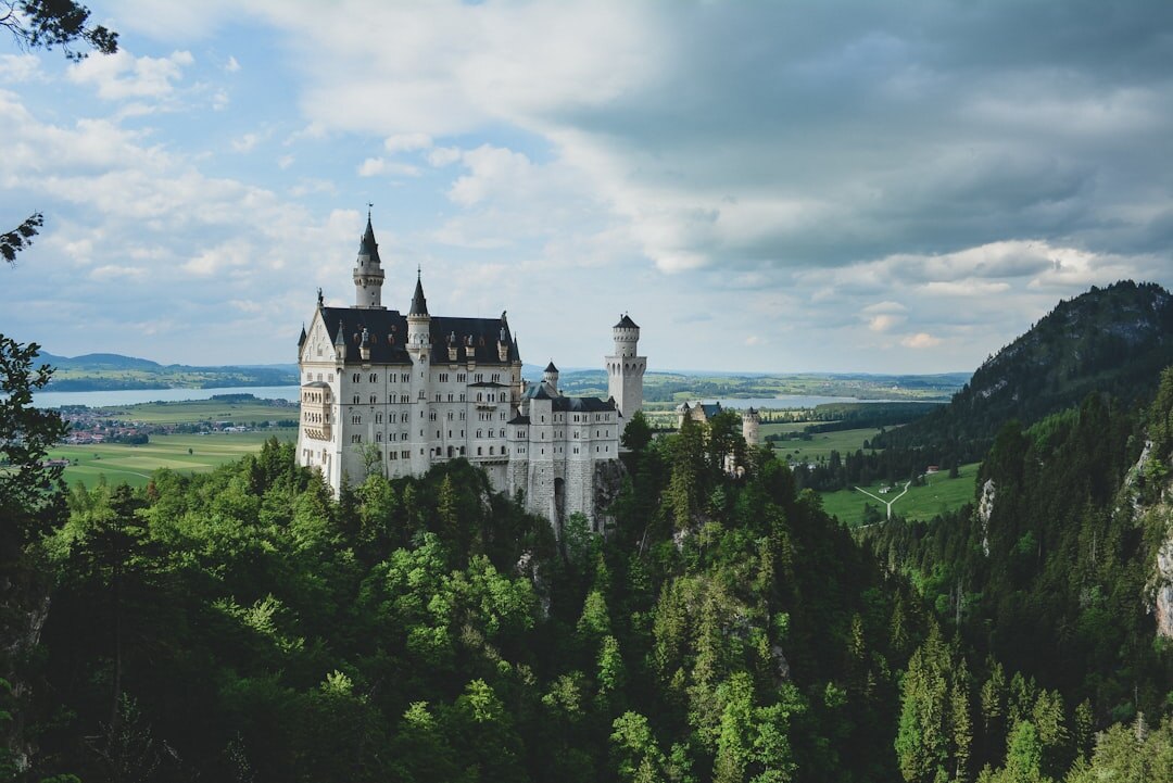 forest around castle